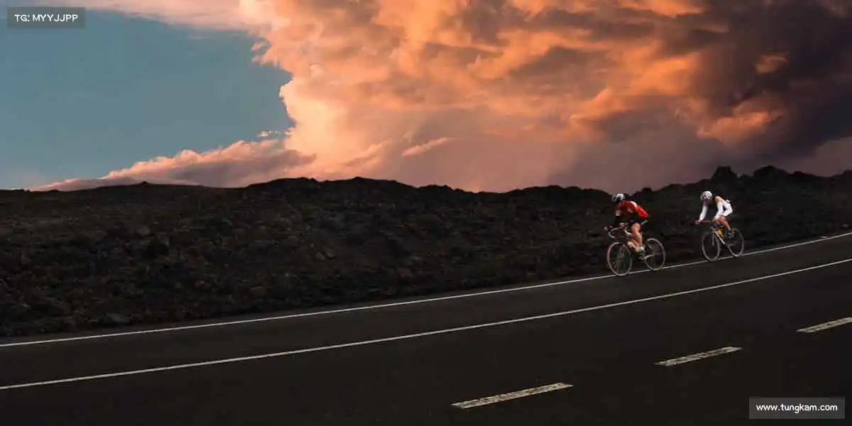 mksport官网APP🏆用汗水浇灌梦想,让热爱永不退场 —— 体育之路,你我同行!